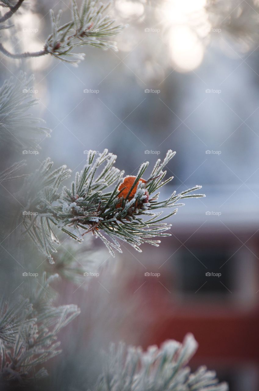 Signs of winter