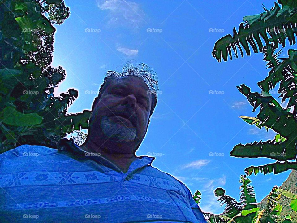 LINDO CÉU AZUL BANANEIRA