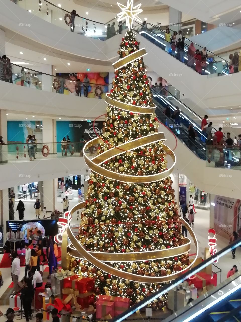 Distance snap of a big Christmas tree
