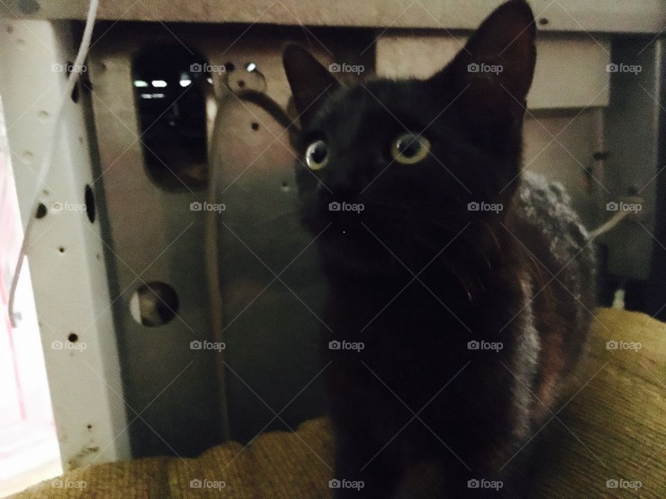 Taking in the sights of the local culture. 