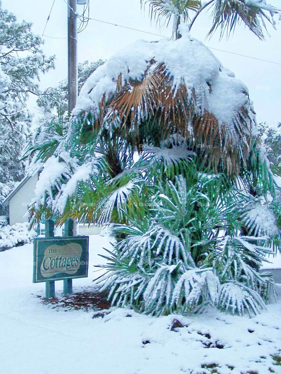 Snow in SC