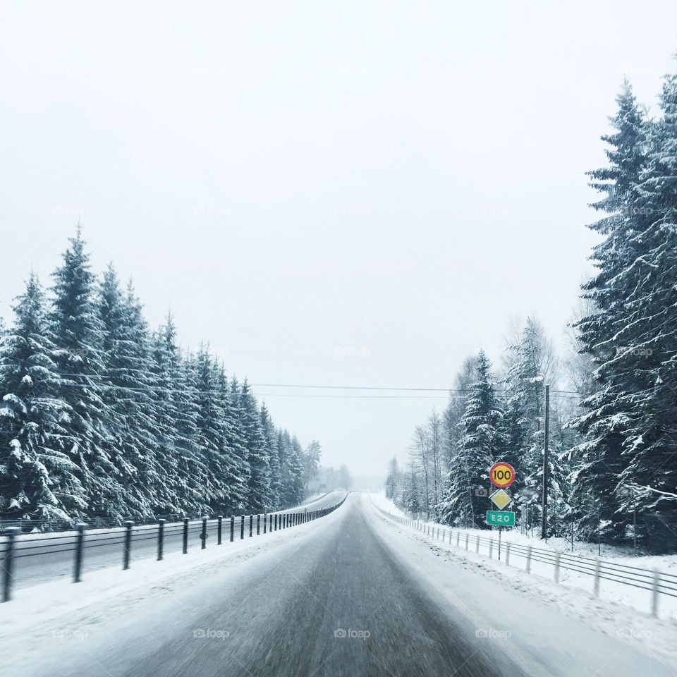 Snow, Winter, Road, Wood, Tree