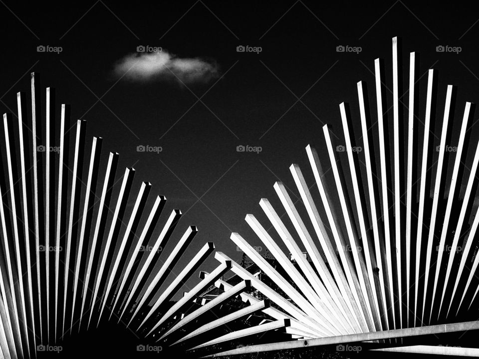 The beauty of black and white