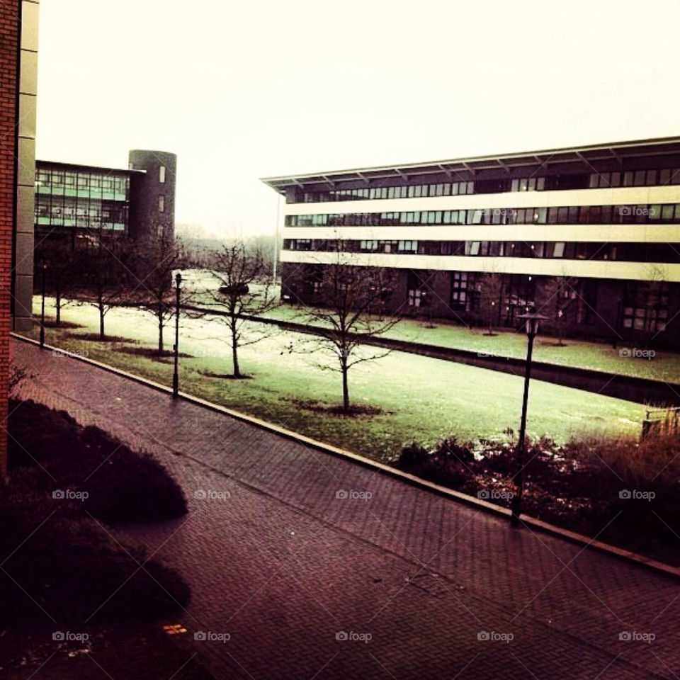 Warwick University