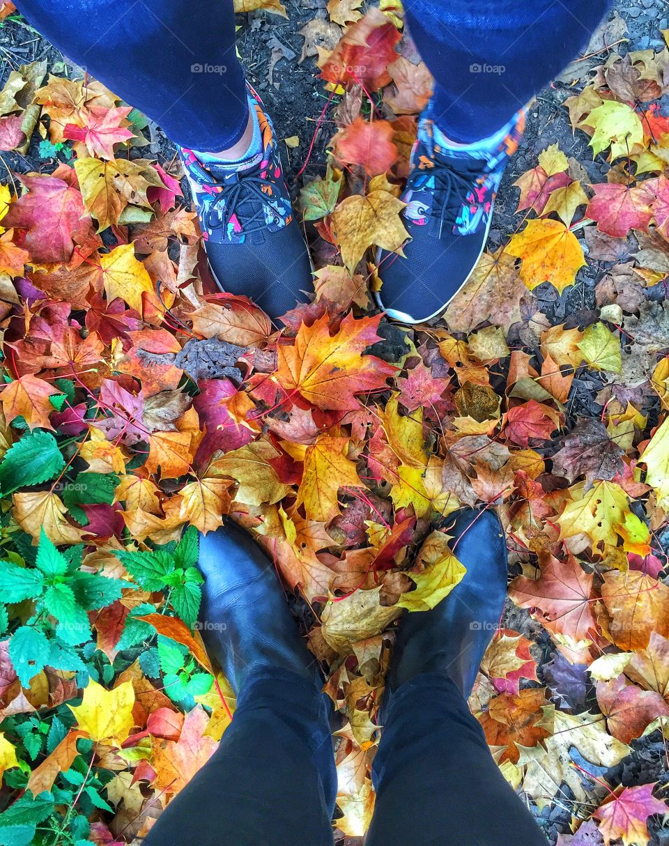 High angle view of human feet on autumn leaves