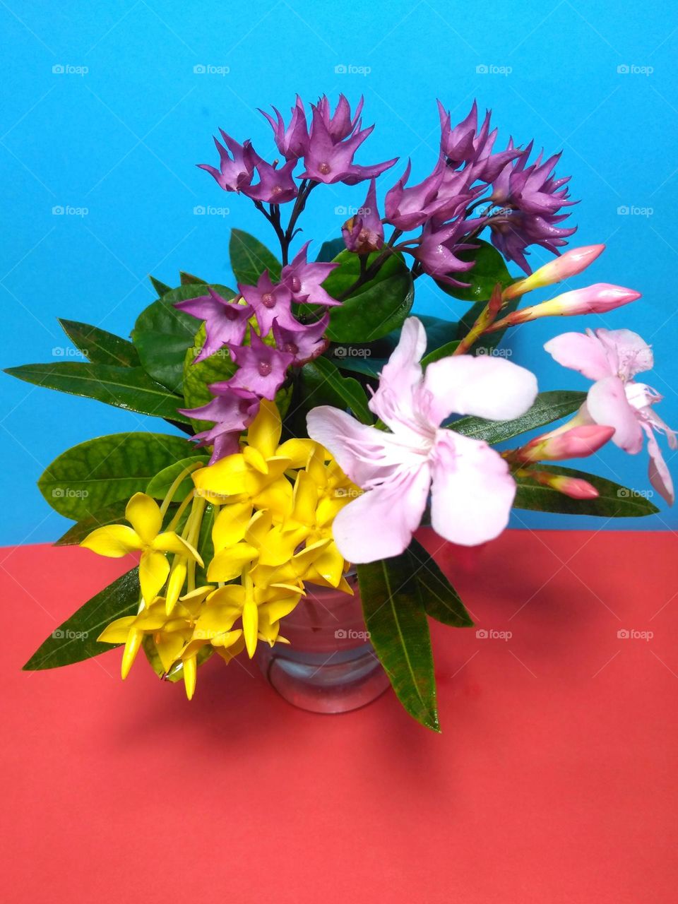 Beautiful colored flowers on vase