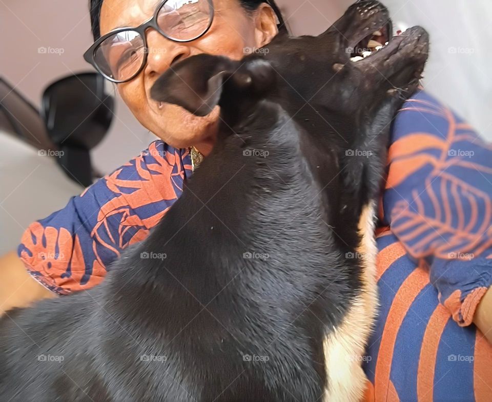 Cão amável e carinhoso. Os cachorros são amigáveis  e têm necessidade de interação com os humanos. Eles também são capazes de formar laços emocionais profundos, com seus tutores