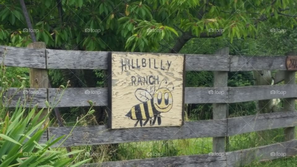 Hillbilly Ranch