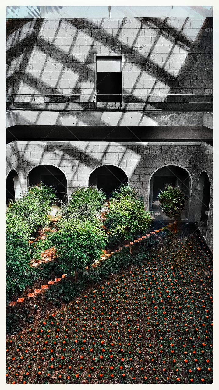 Architecture, Building, No Person, House, Window