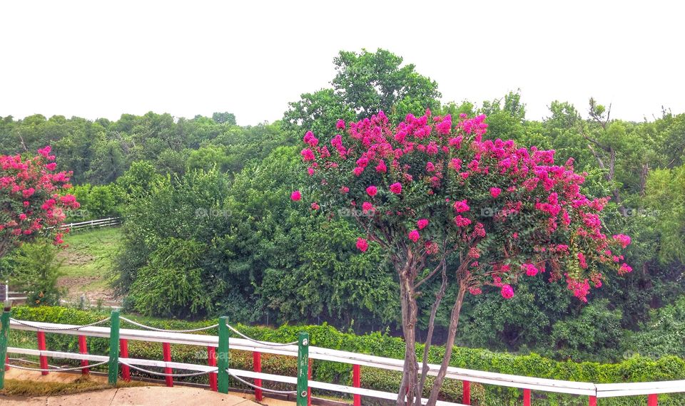 Scenic point. Scenic view from top of mini golf course