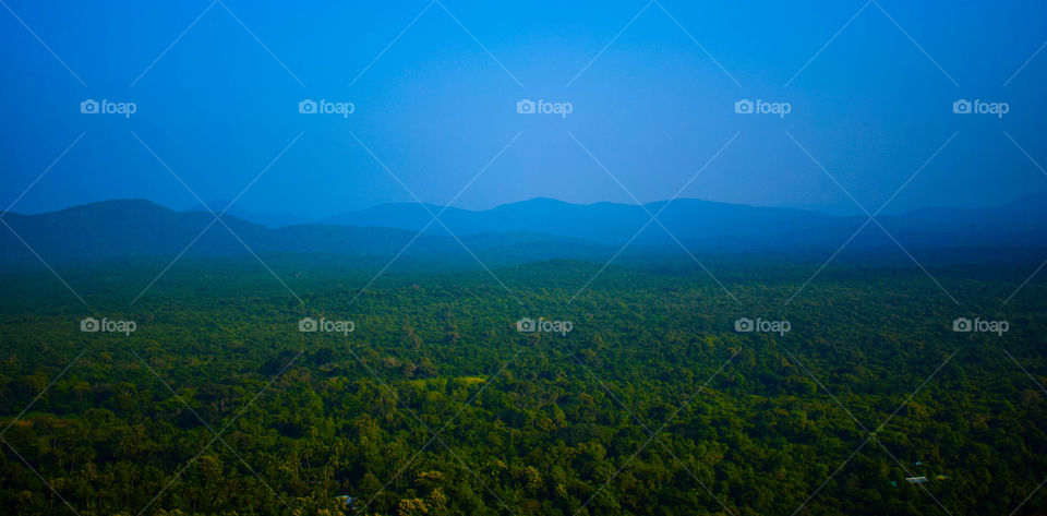 mesmerizing view into the blue