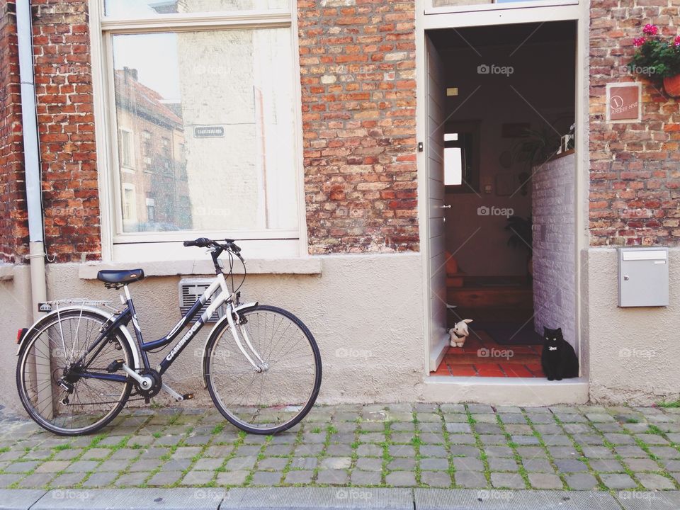 No Person, House, Door, Architecture, Street