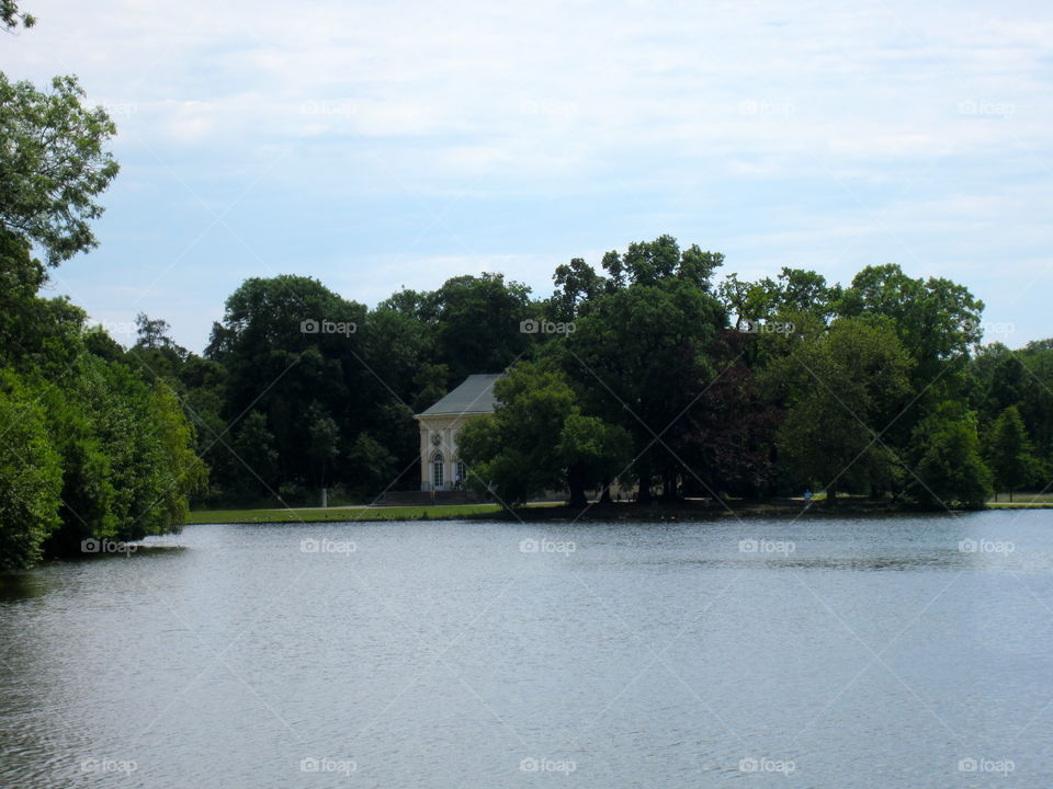 Tree, Lake, River, Water, Landscape