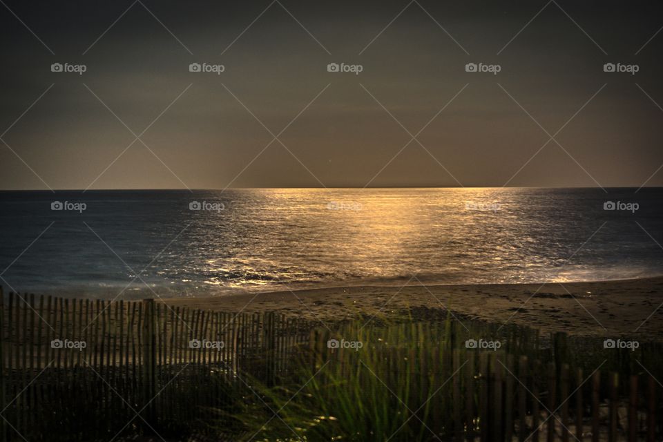 Light of the Blue Moon...