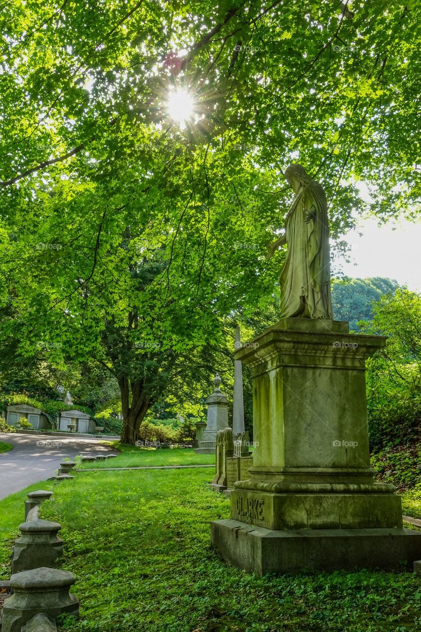 Mount Auburn Cemetery