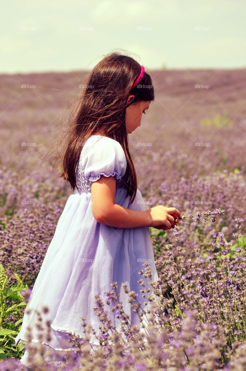 Lavander girl