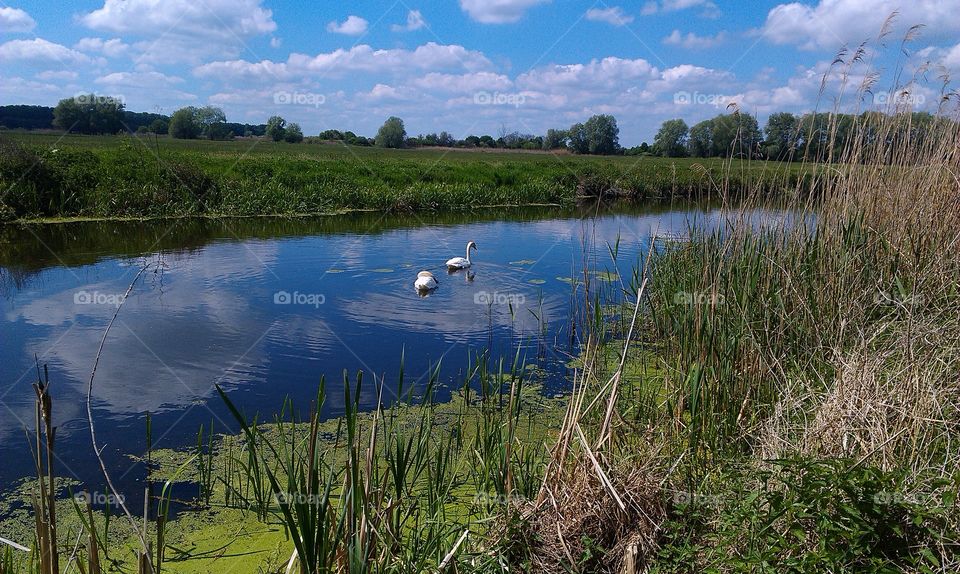 Lake, Water, Reflection, Nature, Landscape