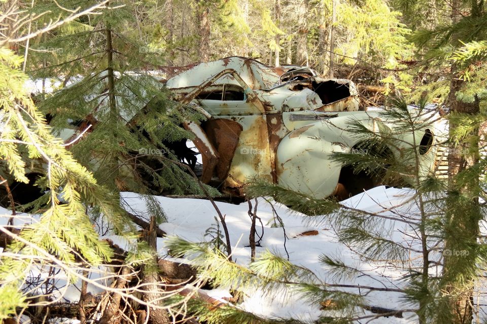 Found  in the Woods In The Melting Snow. A Rusty Old Auto, Lost and Forgoten, with No Where To Go. 