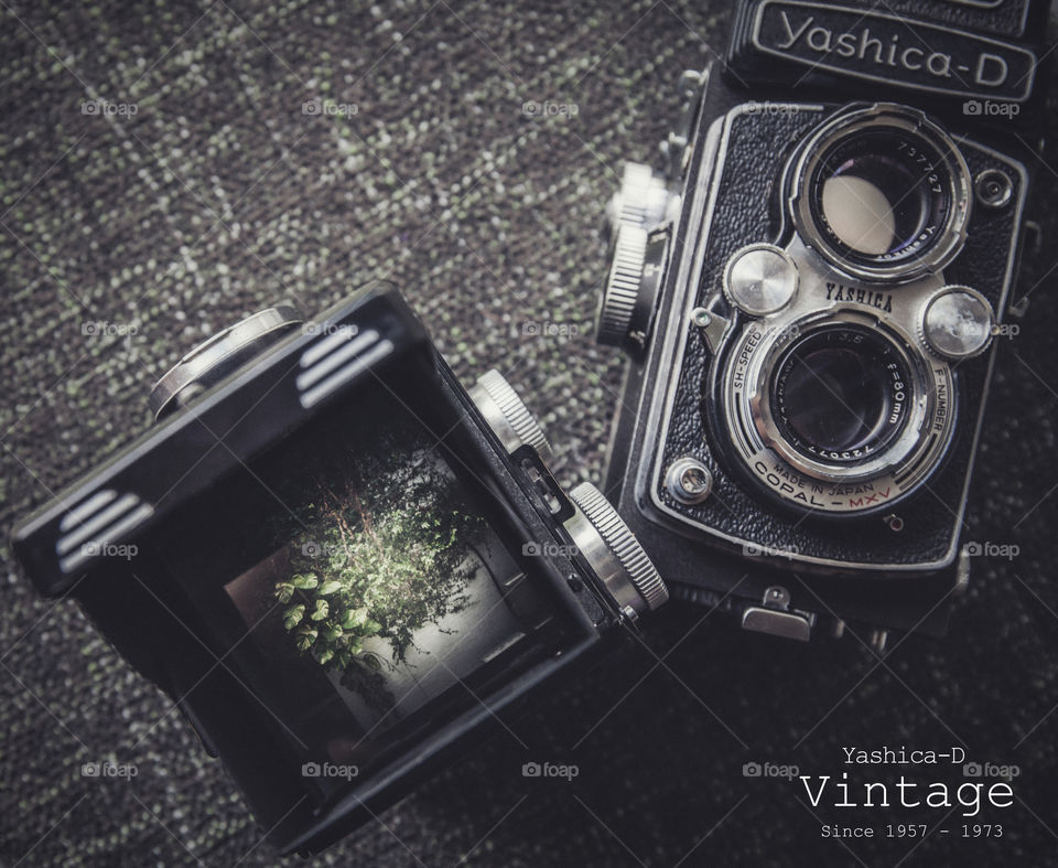 Yashica-D