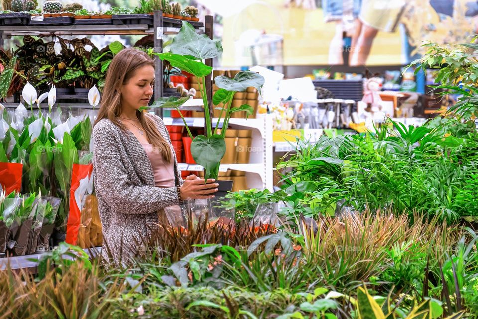 Young woman holding a pot with monstera in the middle of a flower store