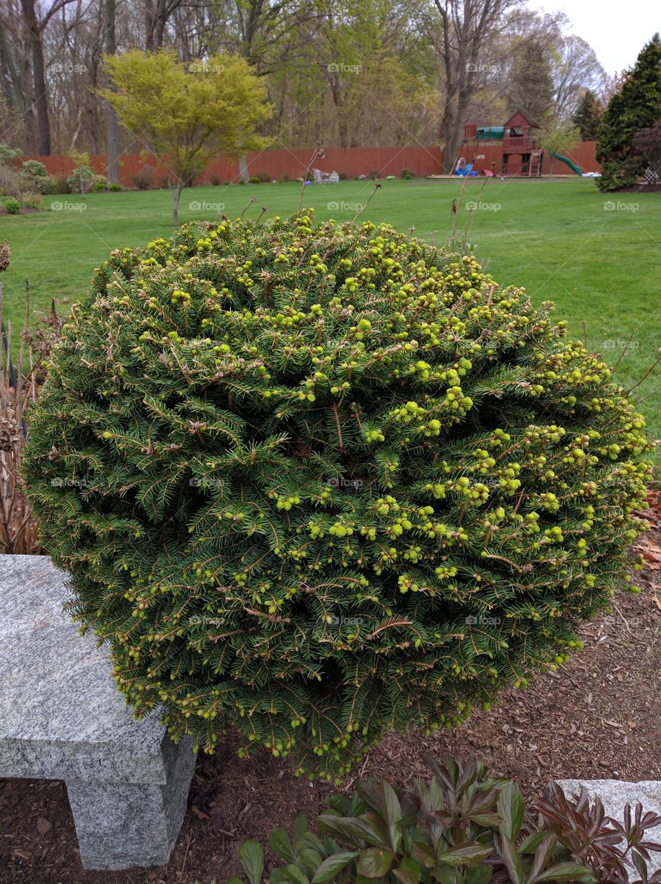 spring is in the air