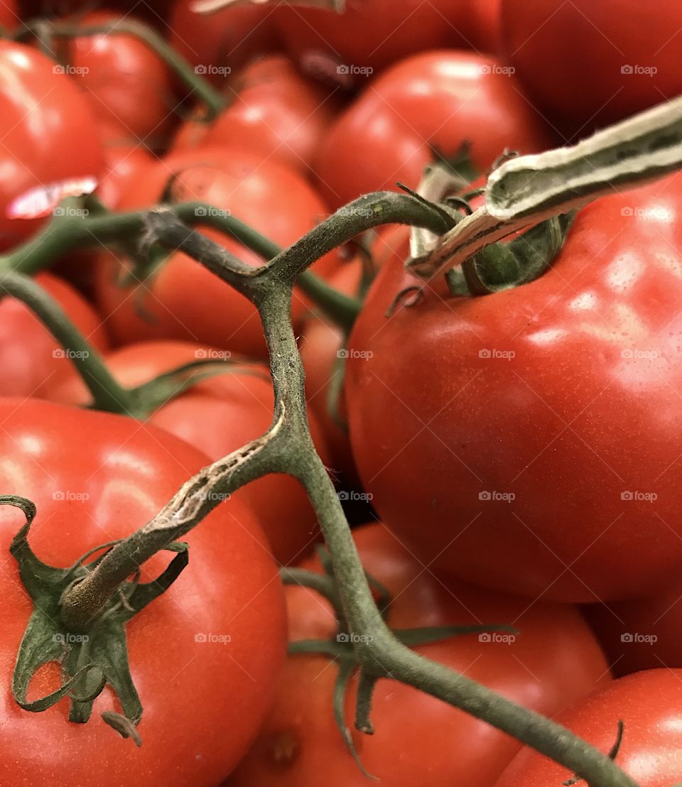 Fresh red tomatoes on the vine at market. 