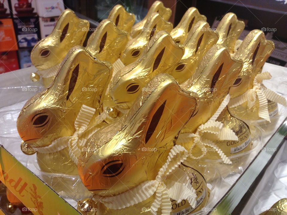 Chocolate bunnies