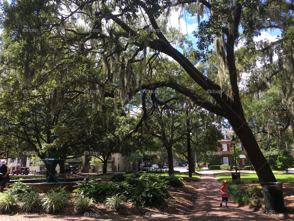 Savannah, Georgia 