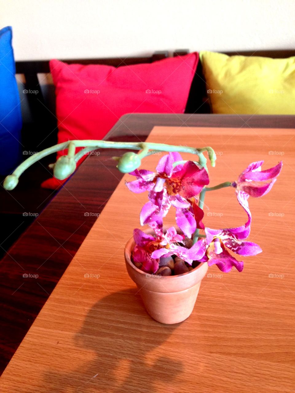 Central Red

Published by:
HappyBrownMonkey 