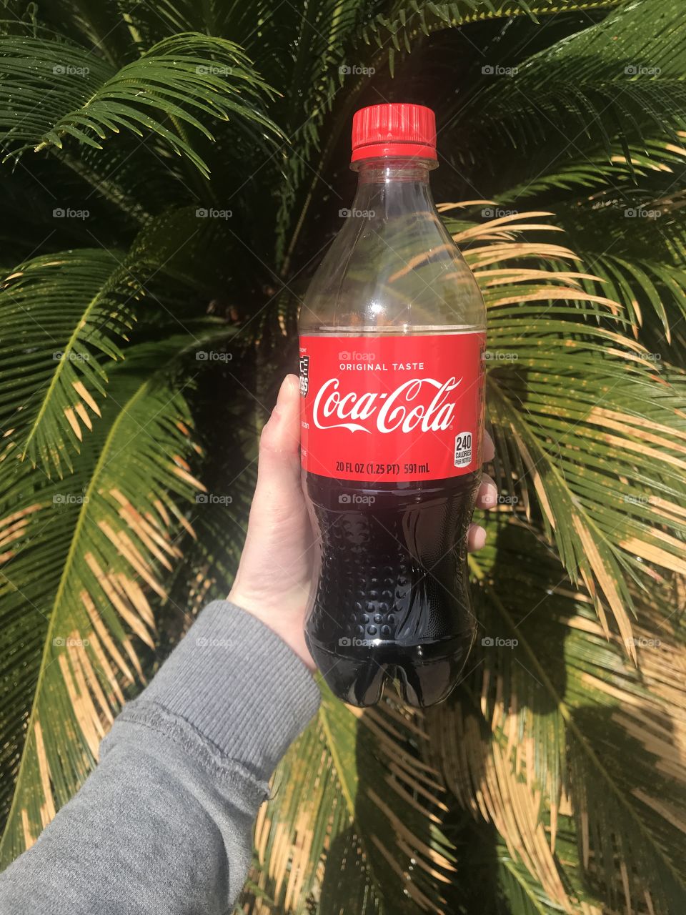 Coke and palm trees 