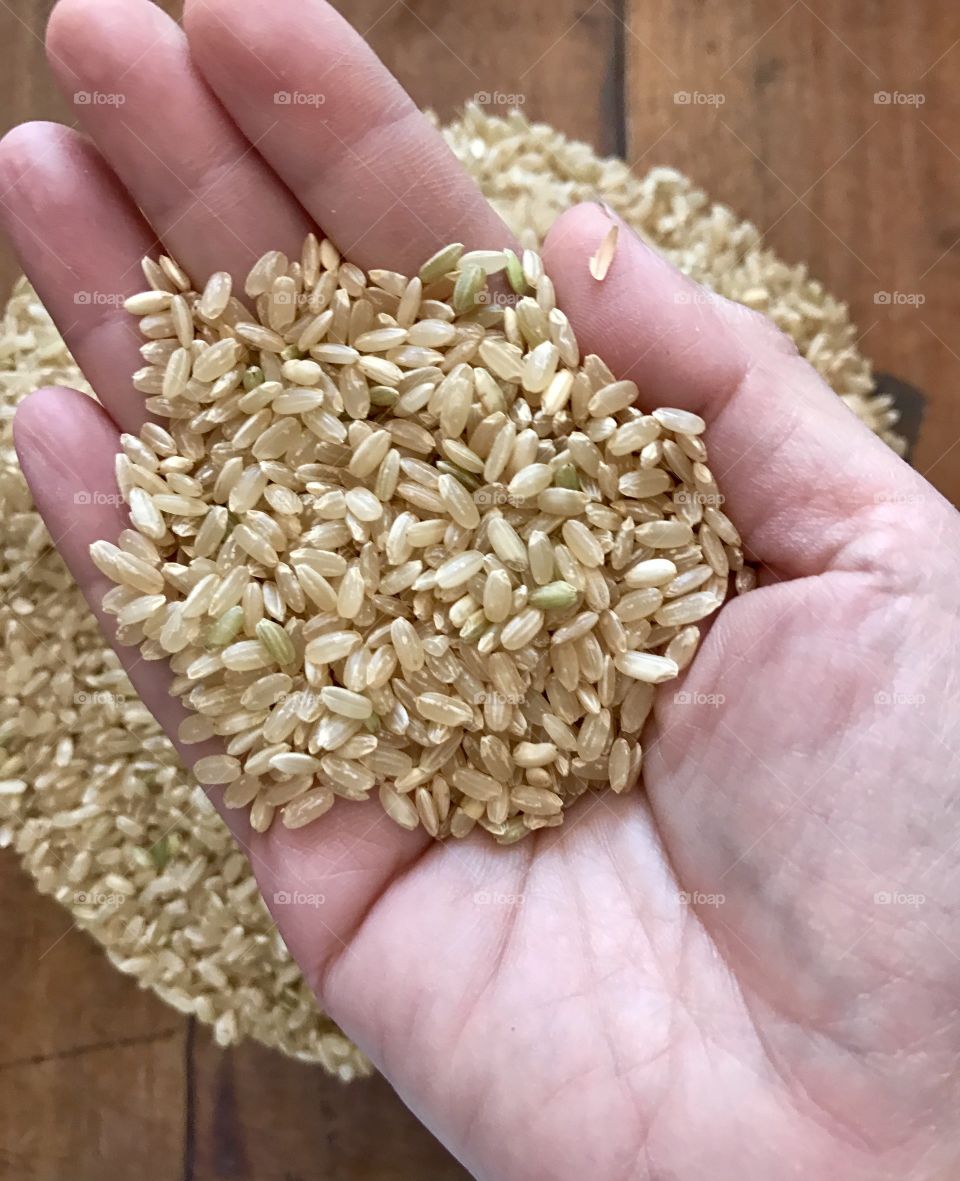 Hand holding grains of rice