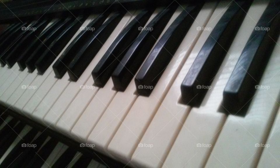 keys. my organ