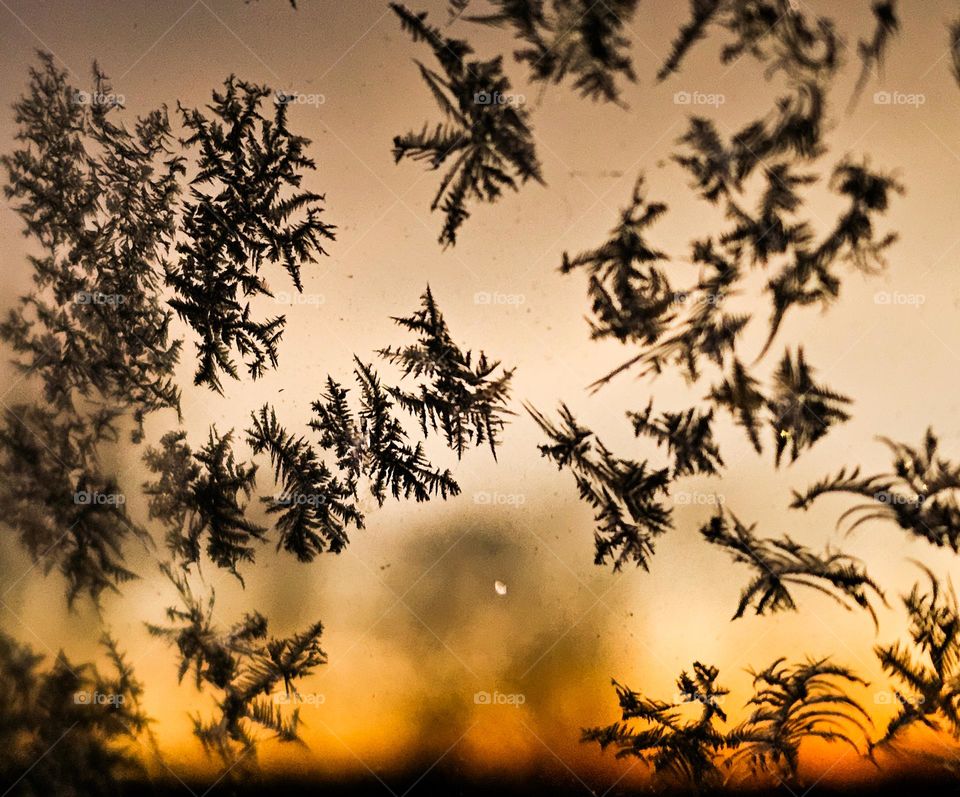 sunrise between the car window a cold december and winter morning. 
its art from nature .