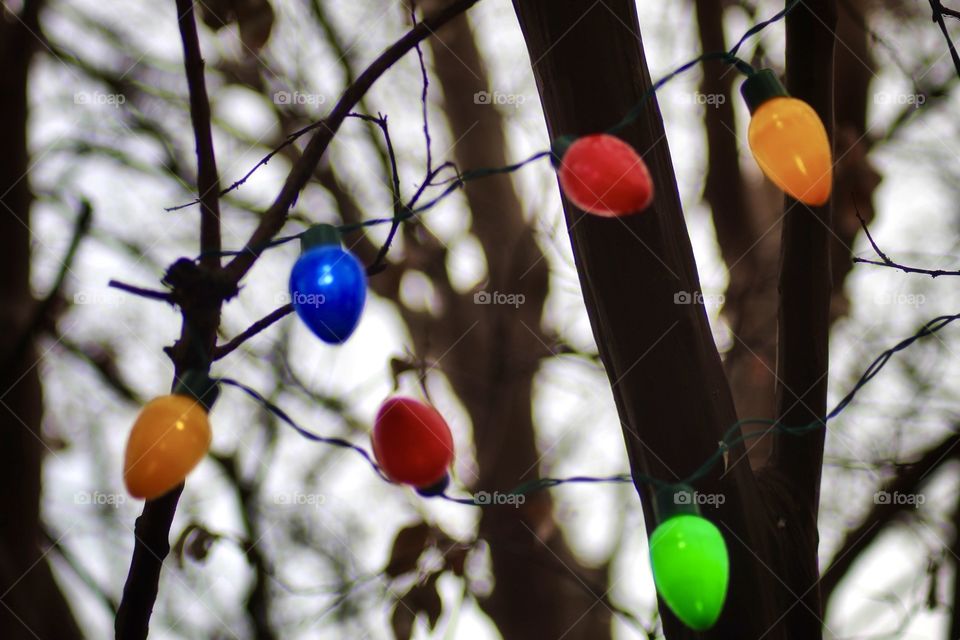 Colorful Christmas lights on a black & white natural background!