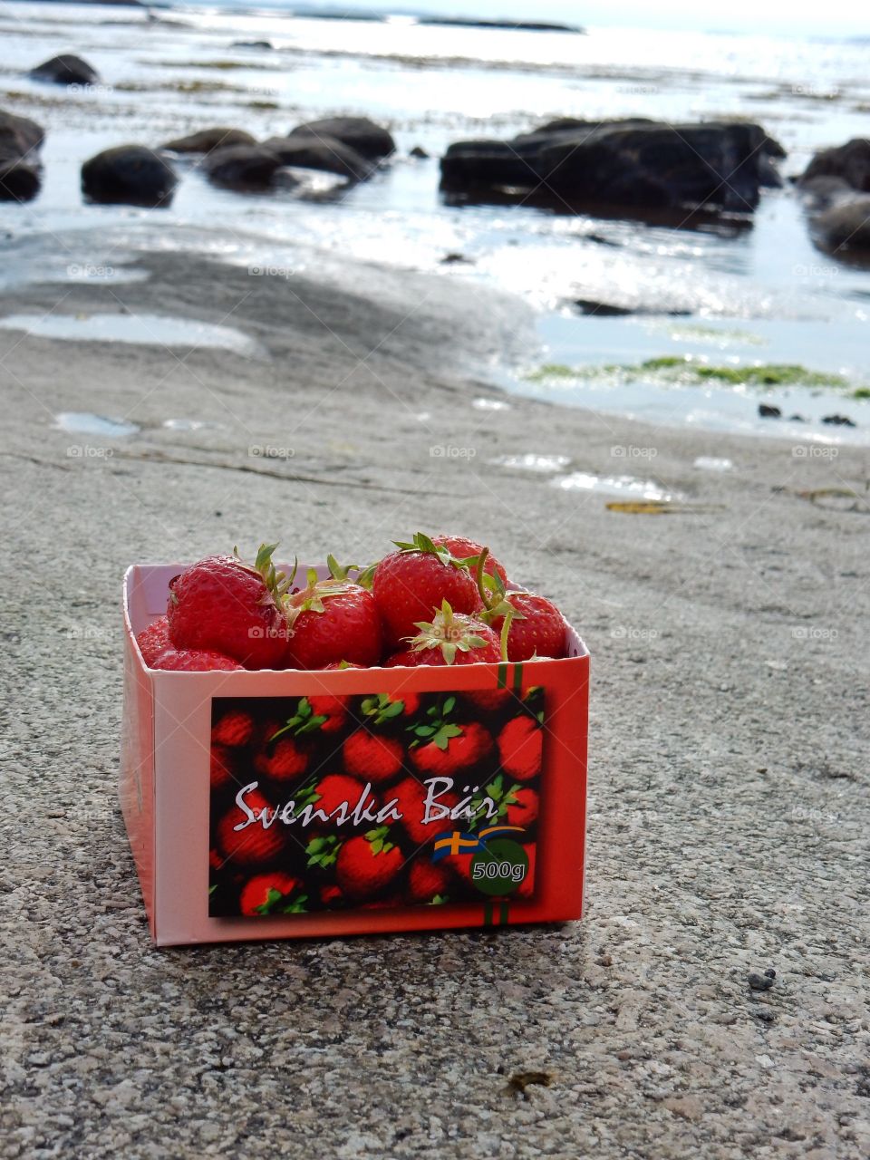 Svenska jordgubbar. Svenska jordgubbar på stranden i Rossö