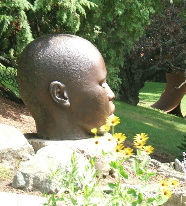 bronze profile