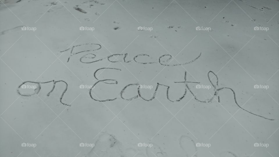 "Peace on Earth" in the snow