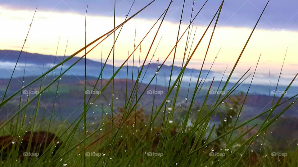 Beautiful blizzard dawn