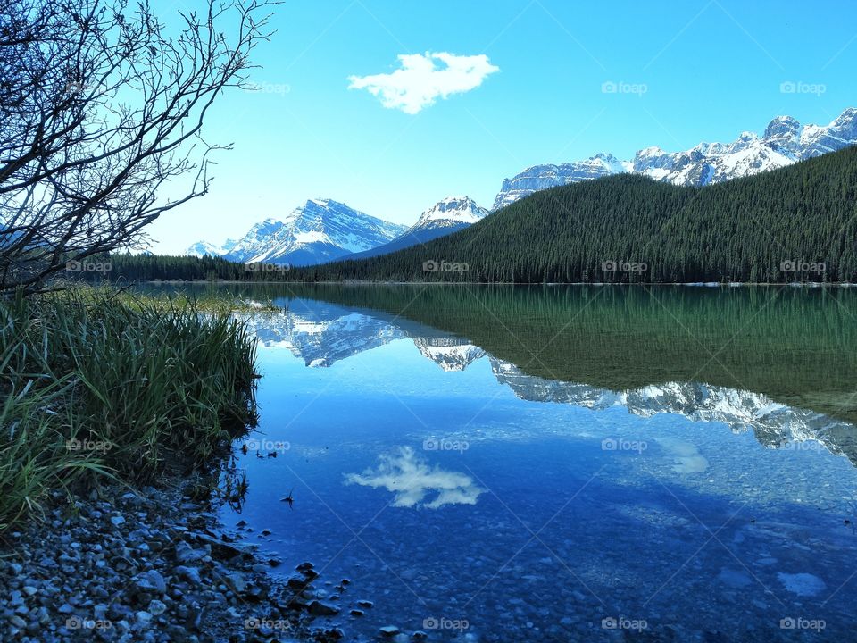 Waterfowl Lake