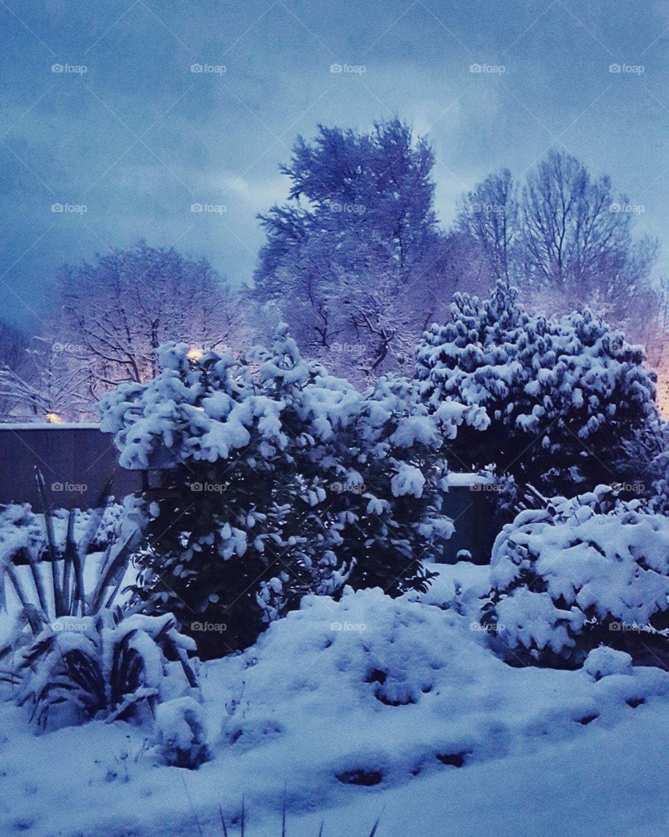 A snowy Christmas morning in England 