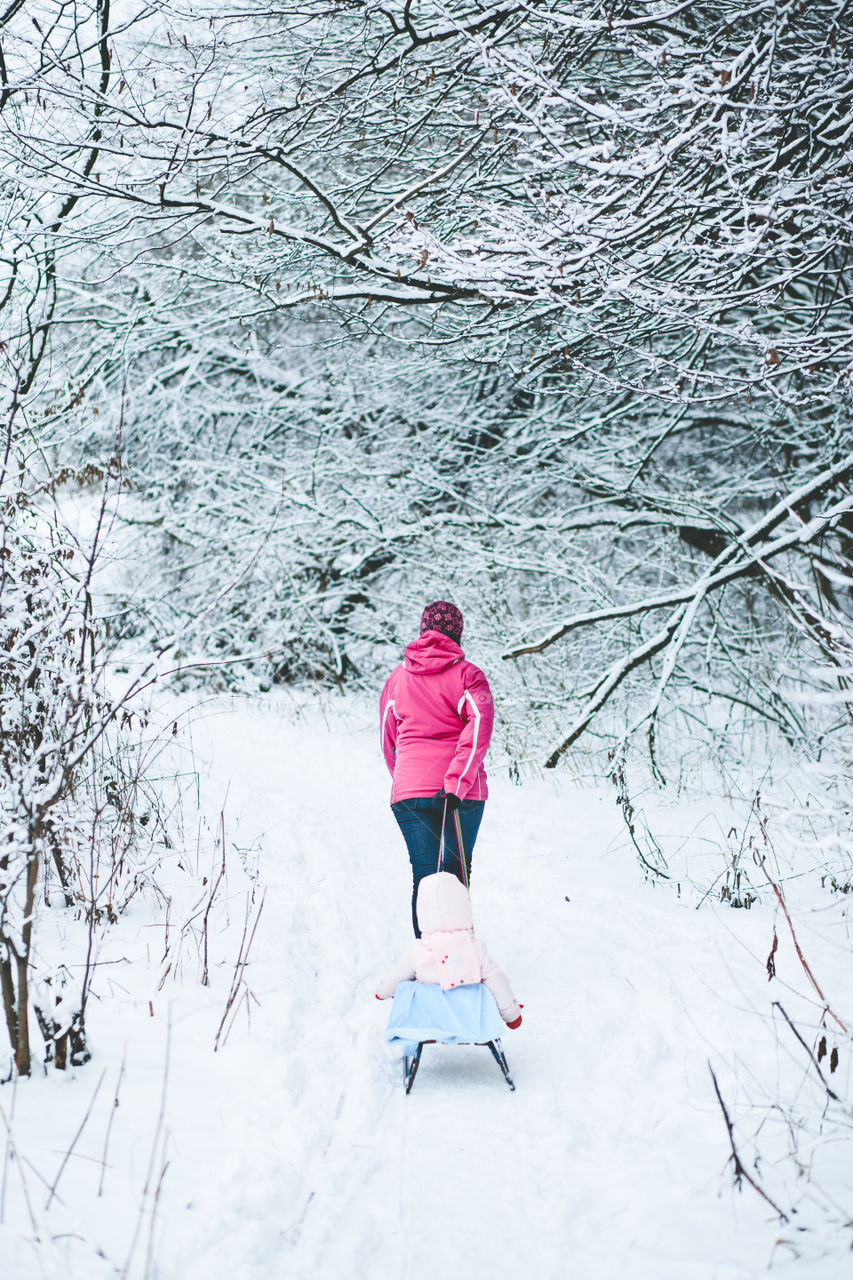 Woman pulling sledge with her little daughter during a walk in the forest