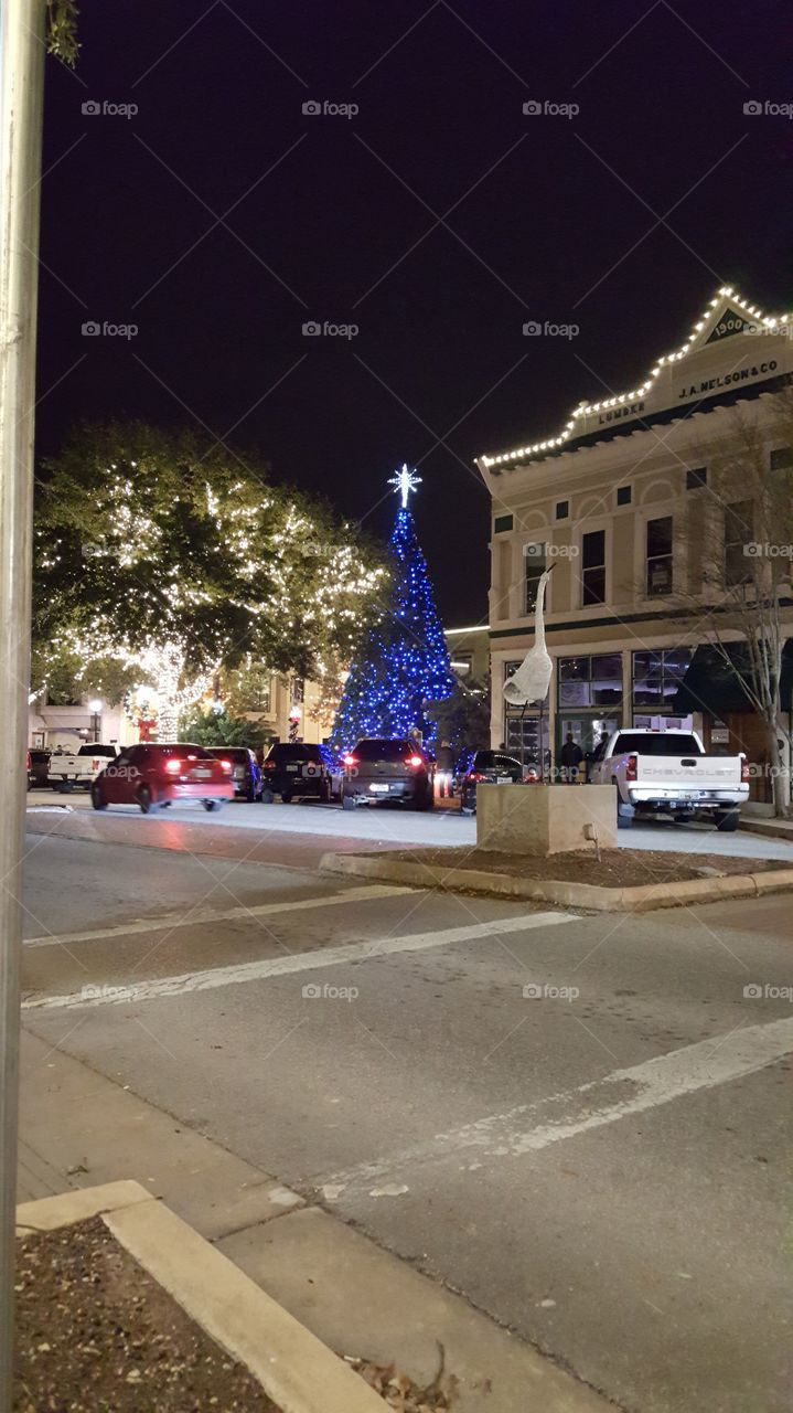 Round Rock Blue Tree Holiday Lights