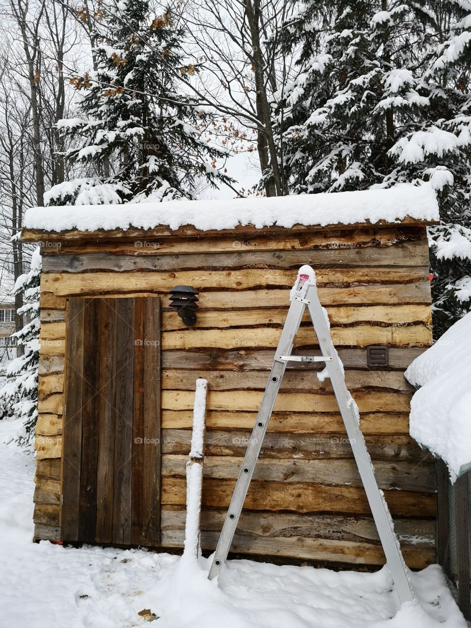 cabin in the eoods