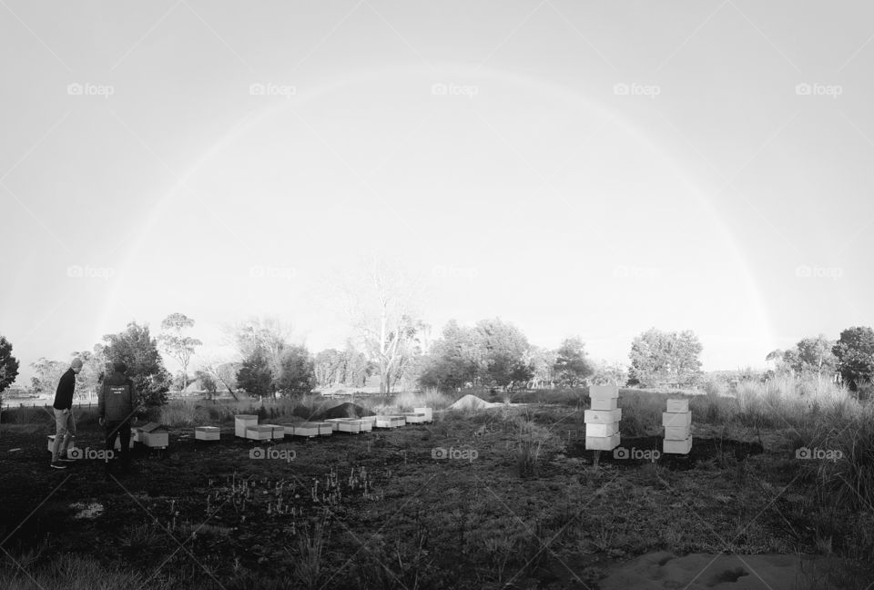 Black and white rainbow over beehives