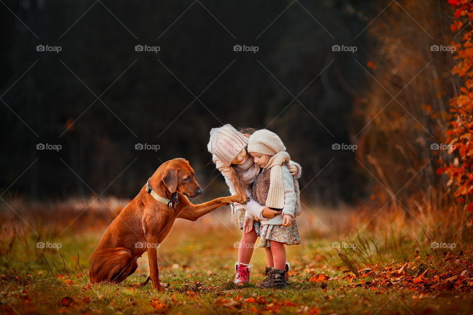 Little girl with Vyzhla dogs in autumn park 