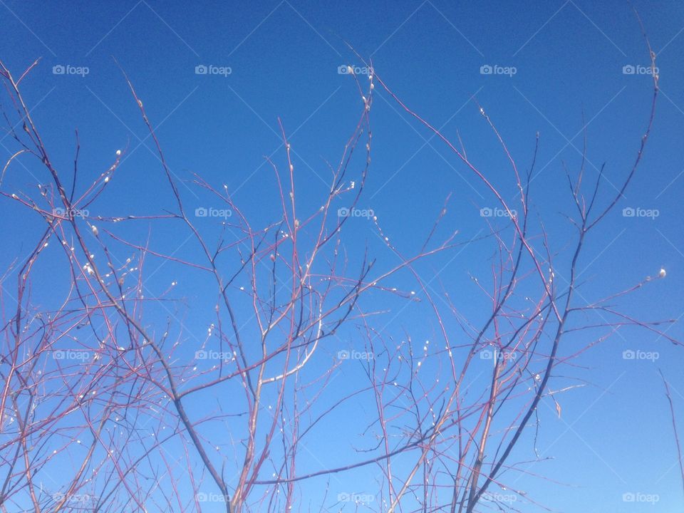 Sky, No Person, Abstract, Winter, Desktop