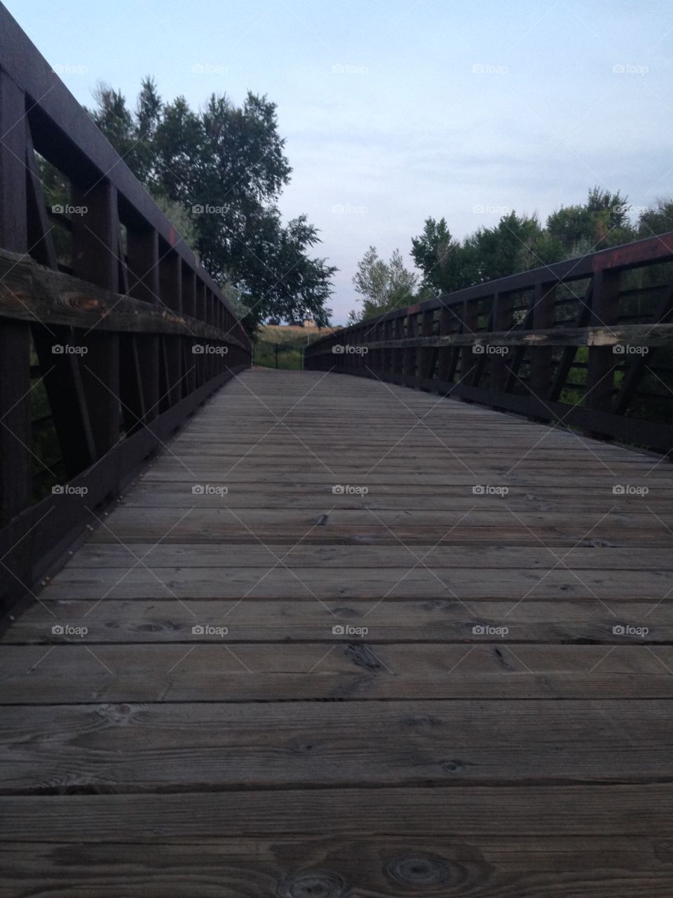 Bridge on the trail