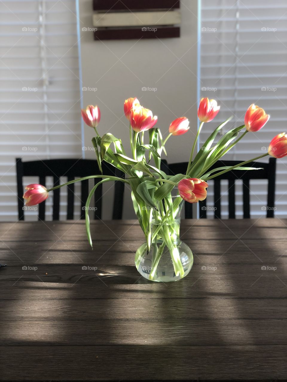 I love that I can go right outside and pick my tulips 