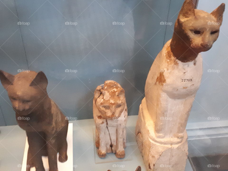 Mummified Egyptian Cats