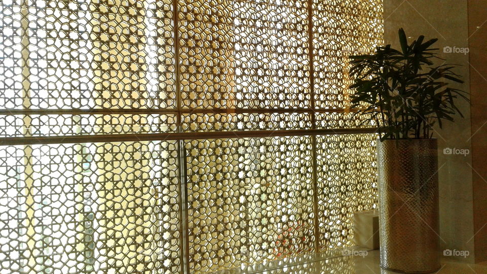 Texture wall and a plant.